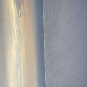 Meet your Posher, Lily